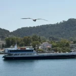 Kapetan Vaggelis K. 5