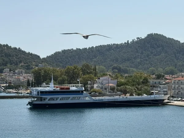 Kapetan Vaggelis K. 5